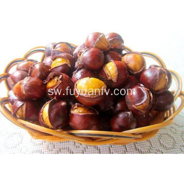 chestnut ghafi 100% ya asili